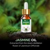 Jasmine (Jasminun officinale) 100% Natural Pure Undiluted Uncut Carrier Oil