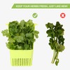 LUVCOSY Fresh Herb Keeper for Refrigerator, Clear BPA-Free Herb Saver,