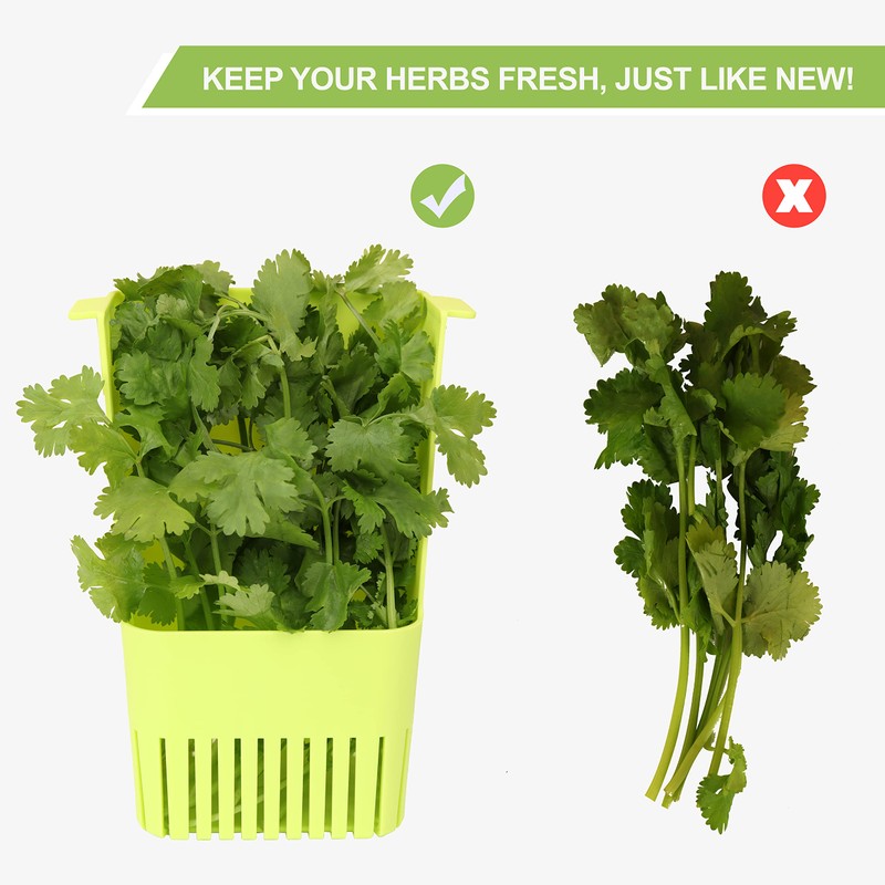 LUVCOSY Fresh Herb Keeper for Refrigerator, Clear BPA-Free Herb Saver,