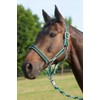 USG Halter with Silver Fittings/ Soft Padded, Pony, Dark Green/