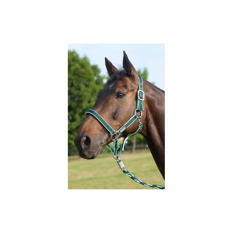 USG Halter with Silver Fittings/ Soft Padded, Pony, Dark Green/