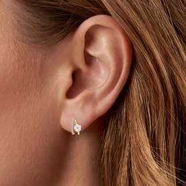 Natural Shell Flower Earrings for Women - Small Gold Hoop Earrings for Women Dainty 14K Gold Plated Hypoallergenic Huggie Earrings Lightweight Hoops Earring for Women Gifts (Shell Flower - A)