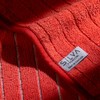 Silva Premium Microfibre Kitchen Towel, Red, Pack of 2, 20