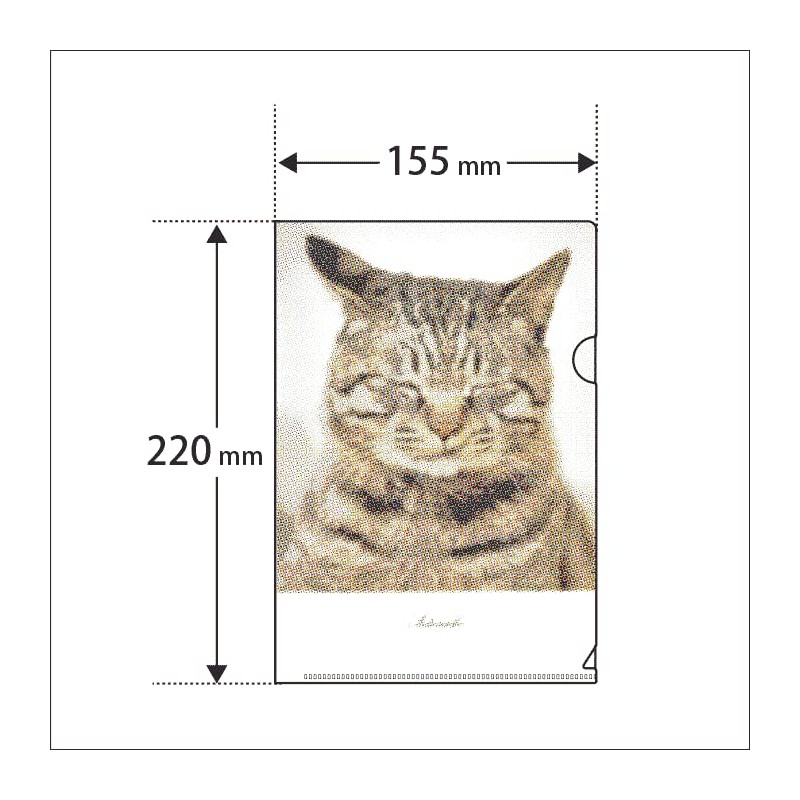 Pheasant Cat Clear File Photo A5 Size, Made in Japan,