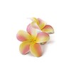 Double Plumeria Clip Foam Flowers - Pink & Yellow