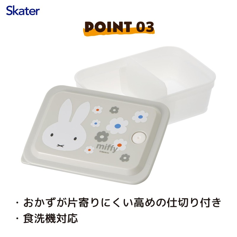 Skater PAS6AG-A Silver Ion Storage Container, Ag+ Antibacterial, Fluffy, Gasket,