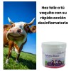 Balsamo Blanco Y Pomada Para Golpes Ubresol