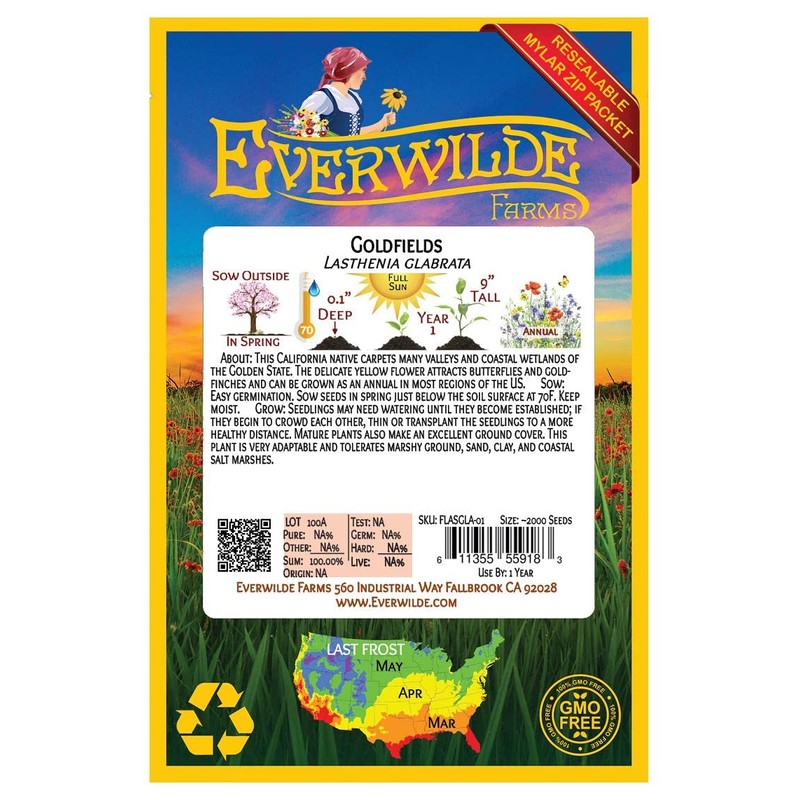 Everwilde Farms - 2000 Goldfields Native Wildflower Seeds - Gold