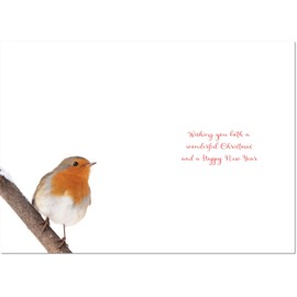 doodlecards Sister and Brother in Law Christmas Card Robin on Snow Medium Size Christmas Card for Sister & Brother-in-Law with Plain Envelope