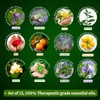 Precious Aromas Essential Oil Lavender Rose Tea Tree Rosemary Jasmine
