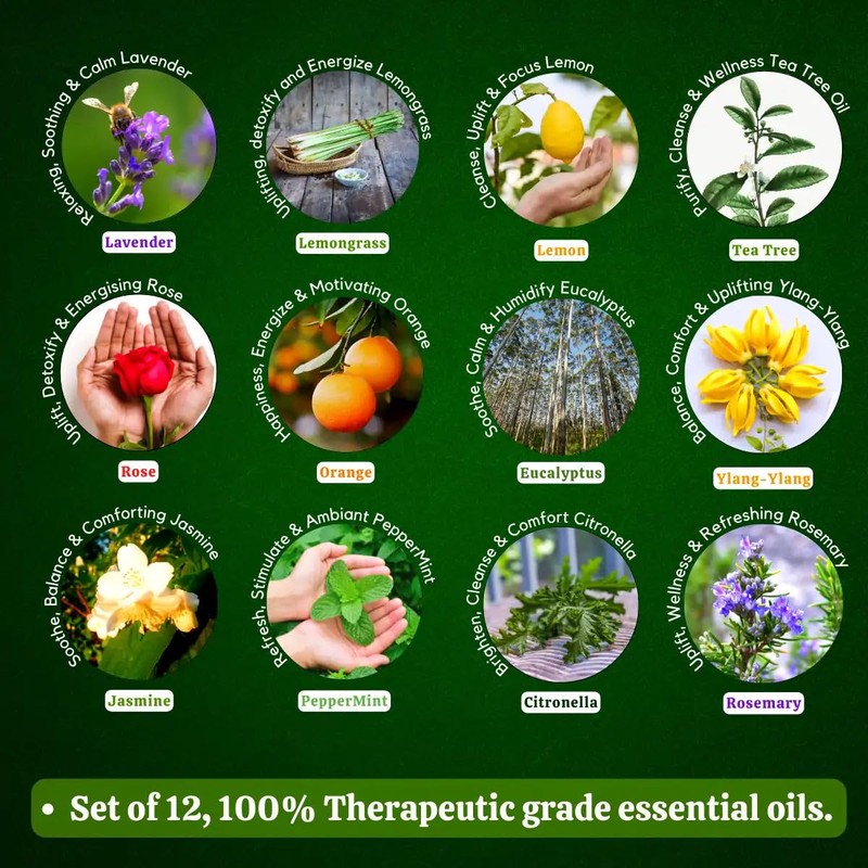 Precious Aromas Essential Oil Lavender Rose Tea Tree Rosemary Jasmine