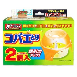 w trap fly catcher 2 pack