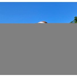 Coolballs Cool Football w/Sunglasses Car, Truck, SUV Antenna Topper (3 in 1 Auto Accessory)