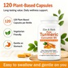 Elm & Herb Pure Turmeric Curcumin 95, Elm and Herb