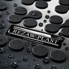 REZAW-PLAST Floor Liners Set Compatible with 2004-2009 Lexus RX Floor