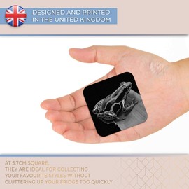 Destination Vinyl ltd Fridge Magnet bw - Striped Poison Dart Frog #37120