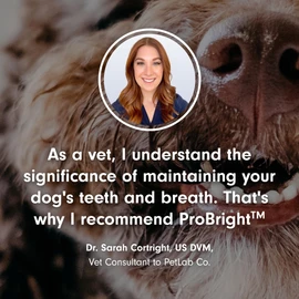 PetLab Co. PetLab Co. ProBright Dental Powder - Dog Breath Freshener - Teeth Cleaning Made Easy C Targets Tartar & Bad Breath - Formulated for Small and Extra-Small Dogs