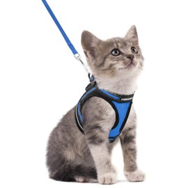 rabbitgoo Cat Harness and Leash Set for Walking Escape Proof, Adjustable Soft Kittens Vest with Reflective Strip for Cats, Comfortable Outdoor Vest, Blue, S