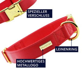 VELVETIER® Dog Collar, Stylish Dog Collar Made of Vegan Microfibre Leather, for Small and Large Dogs (S/M: 29 - 41 cm, Milano (Red)