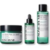 SOME BY MI 30 Days Miracle Toner, Cream & Serum - AHA BHA PHA