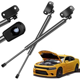 Liftstrut 4146 Hood Lift Support Strut Gas Prop Fit for Acura RL 1996-2004,for Acura TL 1996-1998