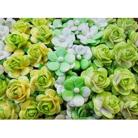 HukDok Mini Rose Artificial Mulberry Paper Flower Mixed Color Tone Decorative Small Roses Flowers for DIY Crafts Projects Scrapbooking Wedding Decorations. (Green Tone)
