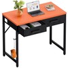 Pamray 32 Inch Small Computer Desk with 2 Drawers for