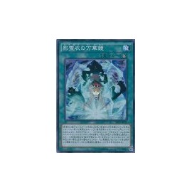Yu-Gi-Oh card SPTR – JP021 Shadow Spiritual Cloth of Kaleidoscope Super Yugioh Arc Five [toraibu・fo-su]