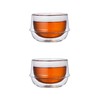 Double-Walled Kinto KRONOS Tea Glass - Maintains Temperature - Prevents