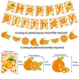 Zwiebeco Orange Happy Birthday Party Decorations Sign Banner Bunting Garland Hanging Paper Kit for Girl Women Kid Adult Summer Fruit Themed Accessories Supplies