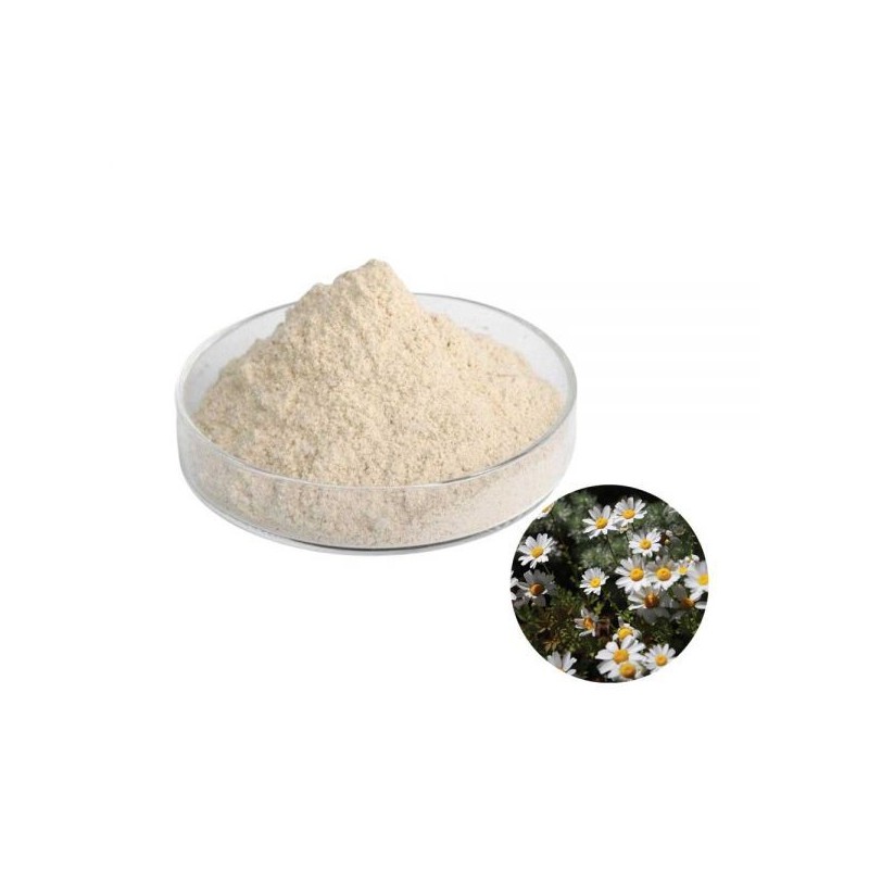 구절초추출분말 100g 샘플 Chrysanthemum Extract Powder 100g Sample