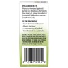 Aura Cacia Tea Tree Roll-On | 0.31 fl. oz.