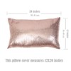 Eternal Beauty Set of 2 Sequin Decorative Pillow Cover Rose