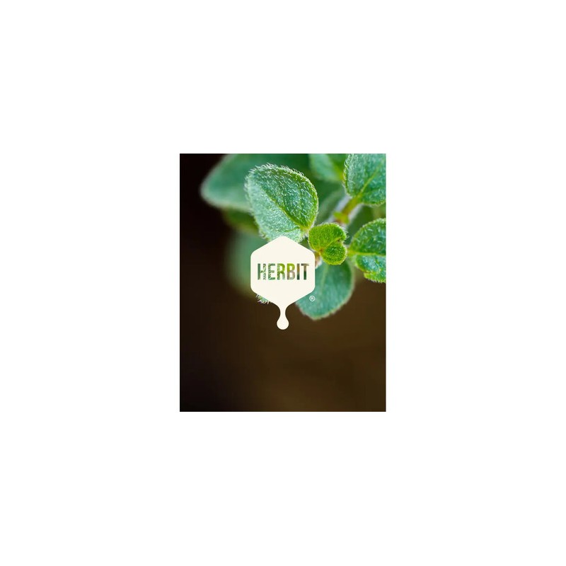 Aceite De Orégano Oliva Y Coco X2 Herbit 30ml Naturales