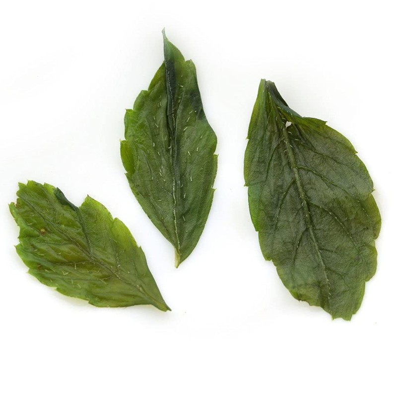 GOARTEA 50g / 1.76oz Supreme Seven Leaf Jiaogulan Gynostemma Chinese
