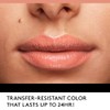 Outlast All Day Lipcolor - 150 Silvered Grape by CoverGirl