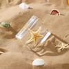 1st Heaven Prepared Starfish, Real Starfish Preparation in Resin -