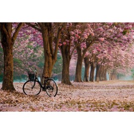 Hortaflor 100 Semillas Roble Rosado Tabebuia Selección Árbol Exótico