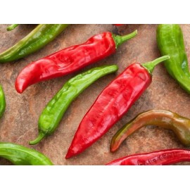 Southeast Seeds Hatch Sandia Chili Pepper Seeds, NuMex, Hot Green Chile, Ristra, FREE SHIPPING - 16k Seeds or 1/4 LB