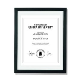 Umbra Document Frame 13x16 inch â Modern Picture Frame Designed to Display a Floating 11x14 Document, Diploma, Certificate, Photo or Artwork (Black)