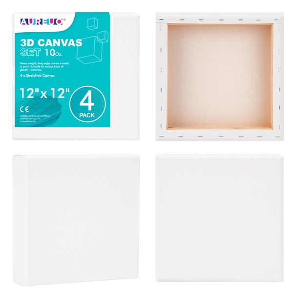 AUREUO 12x12 Inch Gallery Wrapped Canvas - 1.5 Inch Depth
