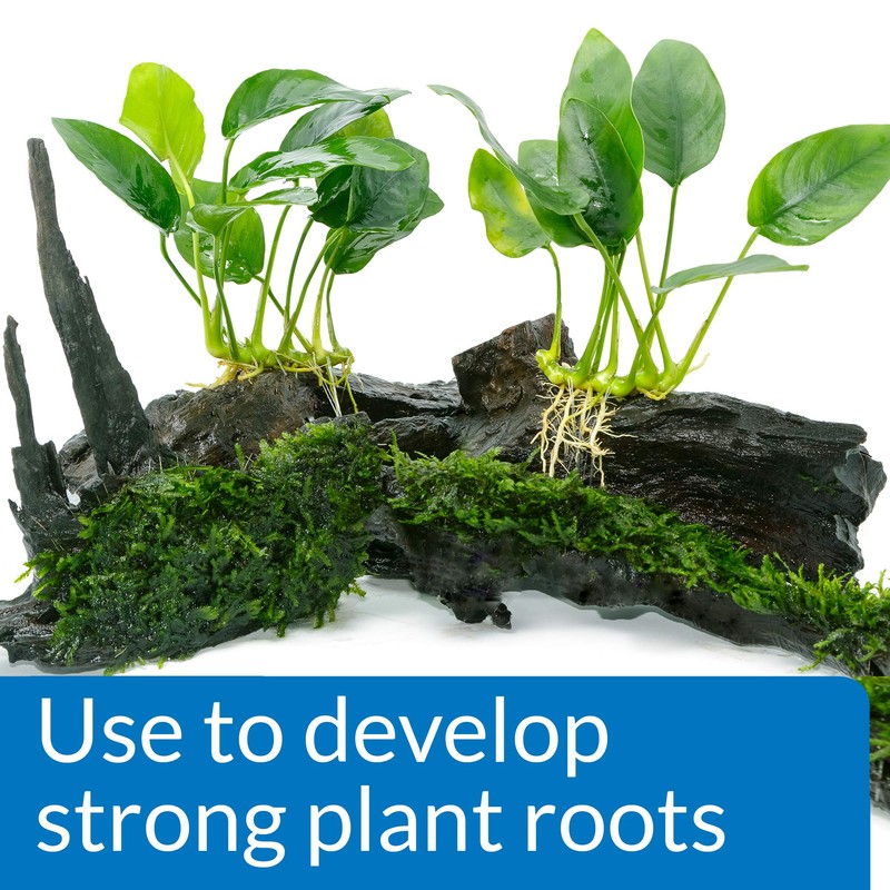 API ROOT TABS Freshwater Aquarium Plant Fertilizer 0.4-Ounce 10-Count Box