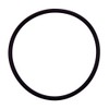 Pentair 355331 Diffuser O-Ring Replacement Specialty and Swimming Pool Inground