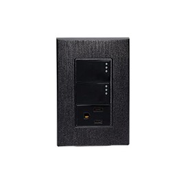 iGoto PS412-GR Placa con 2 apagadores sencillos y contacto 2P+T de 1 módulo (Grafito)