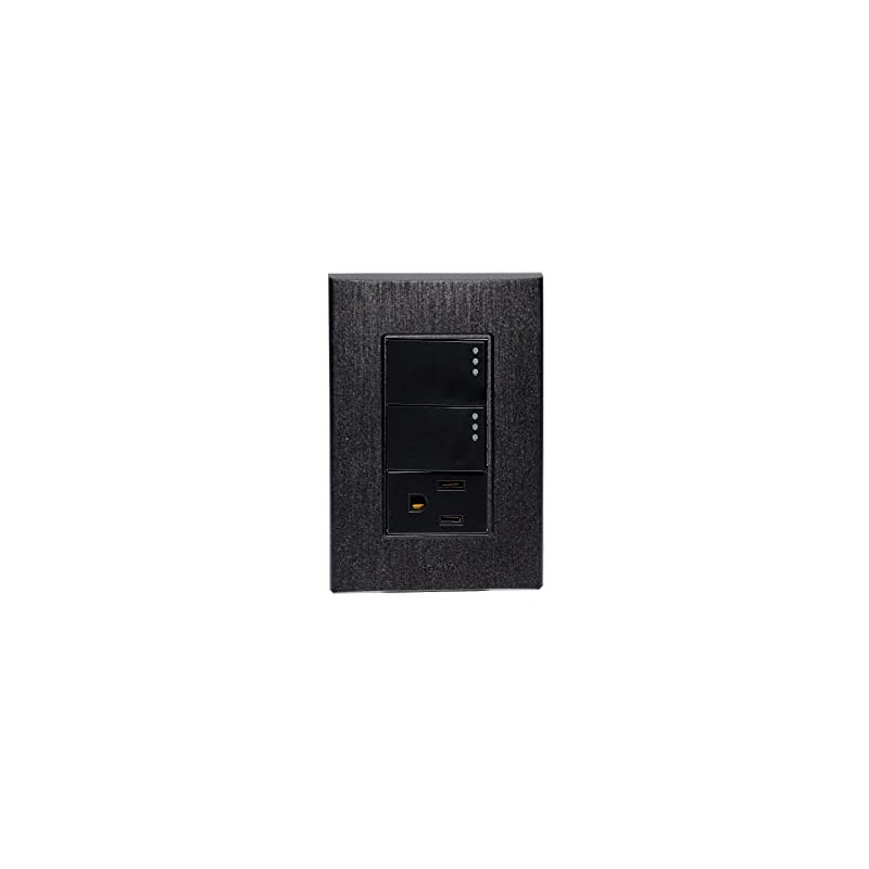 iGoto PS412-GR Placa con 2 apagadores sencillos y contacto 2P+T