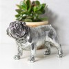 Prodbuy Vintage SIlver Coloured British Bulldog Ornament