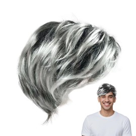 Grandpa Wigs, Fancy Dress old man wig, short Mens Layered Natural Fluffy Synthetic Full Hair Wig Halloween Costume Cosplay Party Hair for Male Daily Use, Halloween Carnival Party Stage Performances
