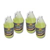 Burco Window Glo Glass and Multi-Purpose Cleaner (1 Gallon (4