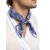 Prettystern Unisex Hand Rolled Silk Scarf for Men and Women