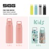 SIGG Stainless Steel Drinking Bottle, Shield ONE, Suitable for Carbonated